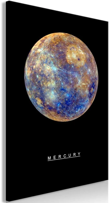 Artgeist Paveikslas - Mercury (1 Part) Vertical