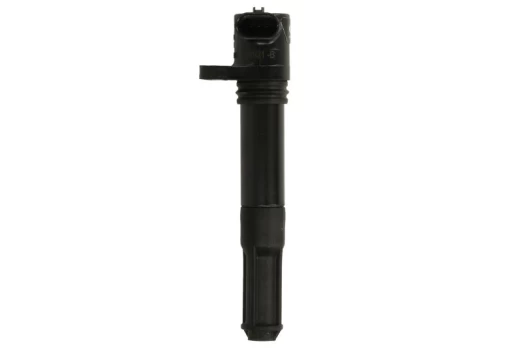 Ritė, uždegimas MAGNETI MARELLI 060740303010