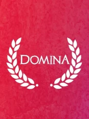 Domina PC kaina