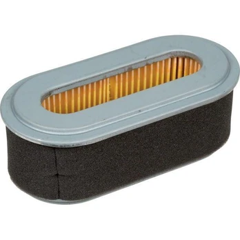 Oro filtras