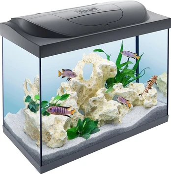 Akvariumas su LED apšvietimu Tetra, 80 l