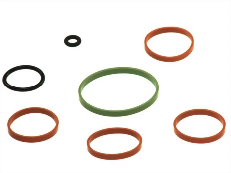 ELRING EL444760 Inlet manifold gasket set