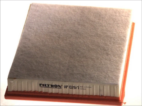 Oro filtras FILTRON AP029/1
