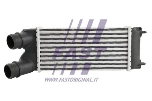 Tarpinis suslėgto oro aušintuvas, kompresorius FAST FT55575