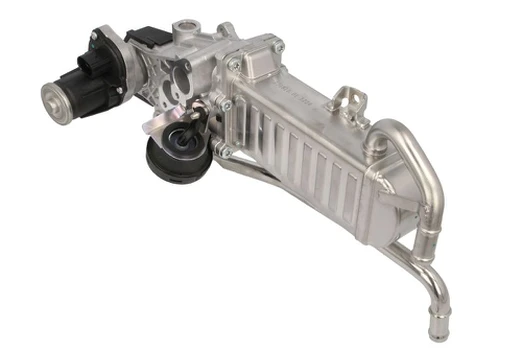 EGR vožtuvas BORG WARNER WA710863D/1