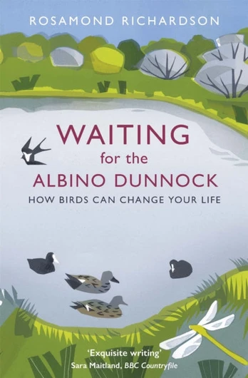 Waiting for the Albino Dunnock