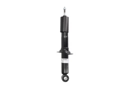 BILSTEIN 19-280455 Shock absorber kaina