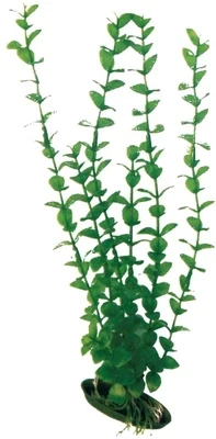 AMTRA ROTALA plastmasinis augalas didelis 23cm 1vnt