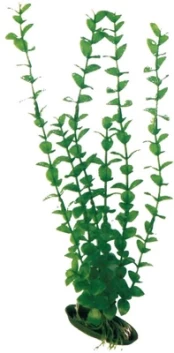 AMTRA ROTALA plastmasinis augalas didelis 23cm 1vnt kaina