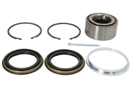 FAG 713 6138 30 Wheel bearing  kit kaina