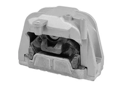 Variklio montavimas TEDGUM TED98366