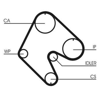 CONTI CT 529 Timing belt
