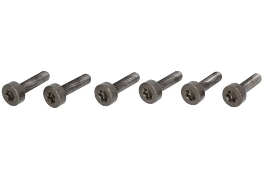 LUK 411 0247 10 Flywheel bolt set