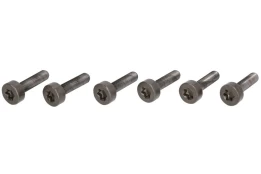 LUK 411 0247 10 Flywheel bolt set kaina