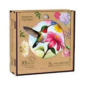 Alexander Milliwood Celebrating Hummingbird 50813