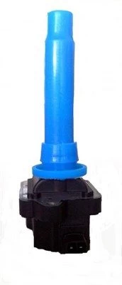 Ritė, uždegimas MAGNETI MARELLI 060717096012