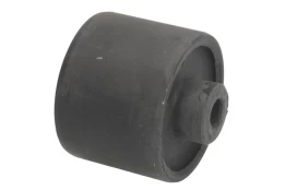 TED-GUM 00371343 Front wishbone bush kaina