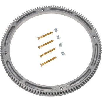 Smagračio dantratis Briggs&Stratton 391362