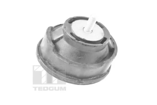 Variklio montavimas TEDGUM TED12723