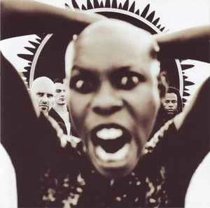 CD Skunk Anansie - Stoosh