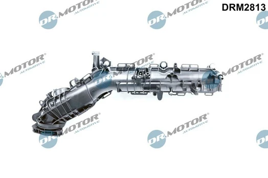 Įsiurbimo kolektoriaus modulis Dr.Motor Automotive DRM2813
