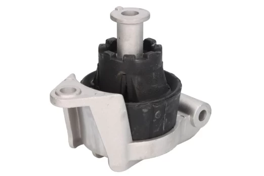 DELPHI TEM091 Engine mount