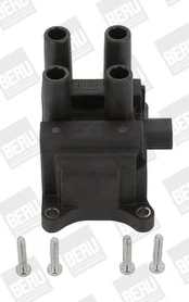 Ritė, uždegimas BorgWarner (BERU) ZS387