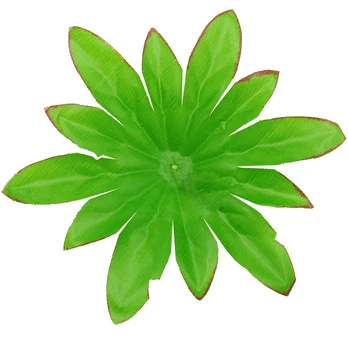 Lapeliai puokštėms