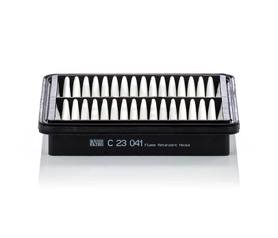 Oro filtras C23041
