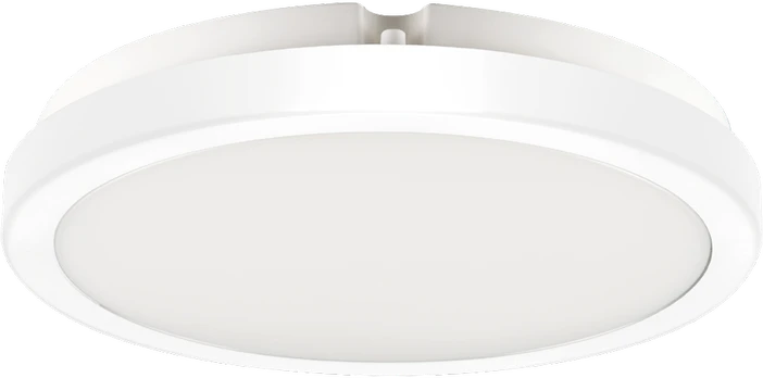 Plafonas, 24 W LED