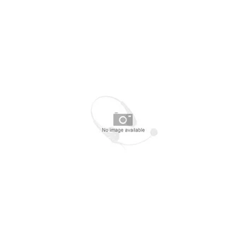 Ausinės Skullcandy SMOKIN BUDS True Wireless