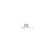Ausinės Skullcandy SMOKIN BUDS True Wireless kaina