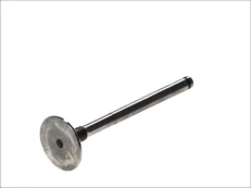 FRECCIA 4719/S Inlet valve kaina