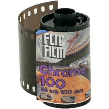 Flic Film Chrome 100 35MM 36 EX