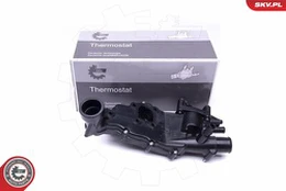 Termostatas, aušinimo skystis ESEN SKV 20SKV114 kaina