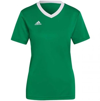 Adidas marškinėliai