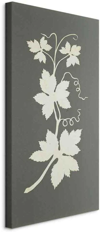 Artgeist Paveikslas - Hop plant (Philipp Otto Runge)