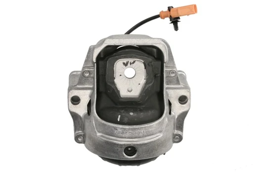 Variklio montavimas DELPHI TEM236