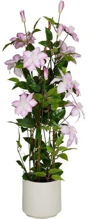 Dirbtinė vazoninė gėlė BLOMMA, 98 cm