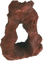 Dekoracija Zolux Vulcano S, ruda, 30 cm kaina