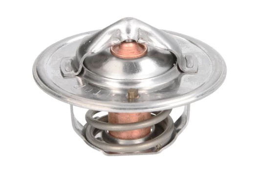 termostatas, aušinimo skystis THERMOTEC D2JD004TT