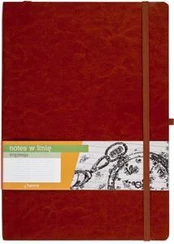 Antra Notes B5 Impresja linija (215373)