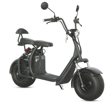 Elektrinis motoroleris čioperis RIDE-E M2 1000W 20Ah 60V