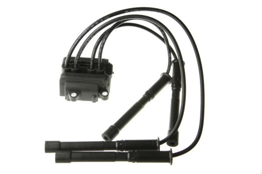 Ritė, uždegimas NGK 48007