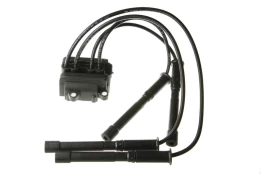 Ritė, uždegimas NGK 48007 kaina