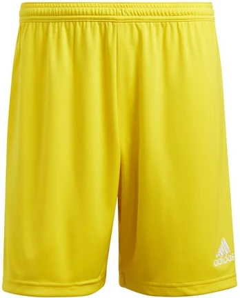 adidas Entrada 22 M IC7404 šortai
