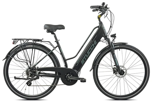 Elektrinis dviratis Succhi, 28", 250 W