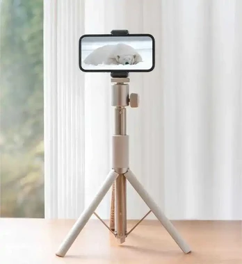 Xgimi Light Gold Portable stand