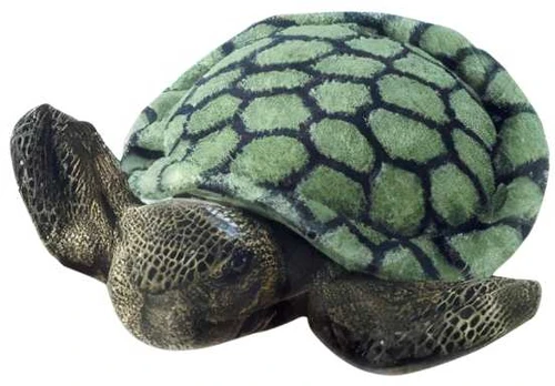 Aurora MF SPLISH-SPLASH SEA TURTLE