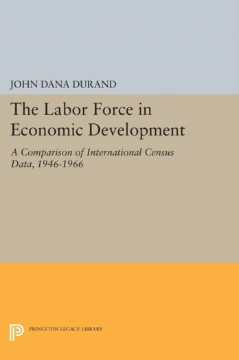 Labor Force in Economic Development - Minkštas viršelis